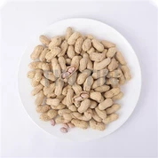 Pistach griye nan kokiy