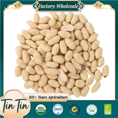 Blanched Peanut nwayo 25/29 2024 rekòt