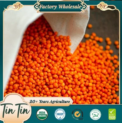 Lantiy wouj Kanadyen