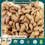 Bon kalite Chinwa Kafe Pistach Founisè