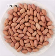 Segondè Kalite Chinwa Pistach Kernels Founisè