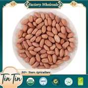 Segondè kalite nouvo rekòt nwayo pistach