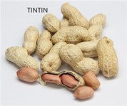 Wholesale Pistach griye nan kokiy