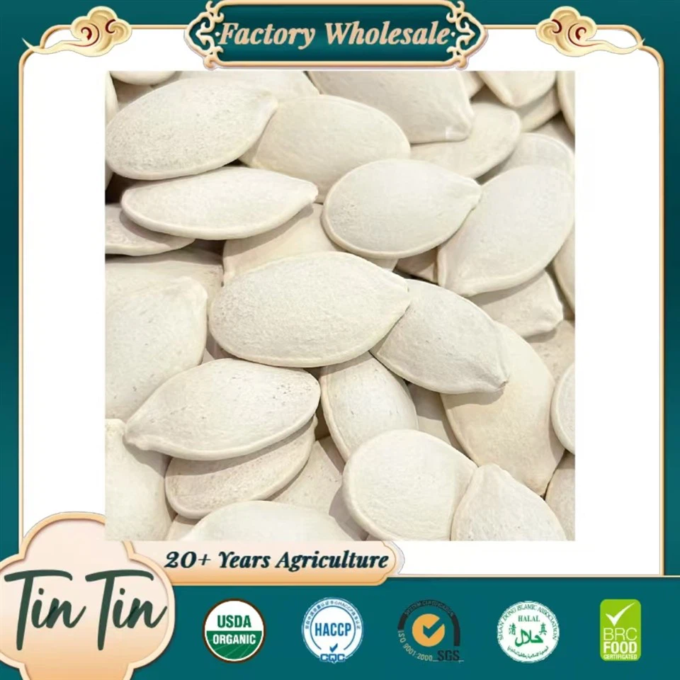 Nèj blan Joumou Grenn nan Klas Manje Shell