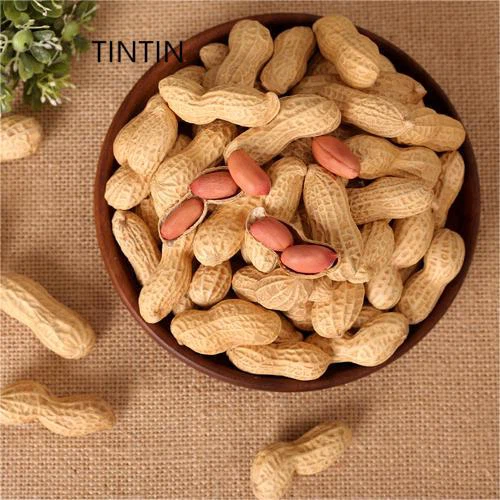 Wholesale bon gou Chinwa griye pistach nan koki